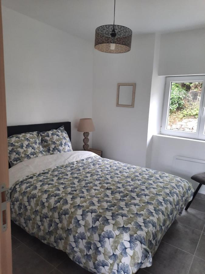 Chez Line Et Pierre: Appartement Spacieux, Lumineux Et Equipe La Bastide-de-Sérou Exteriör bild